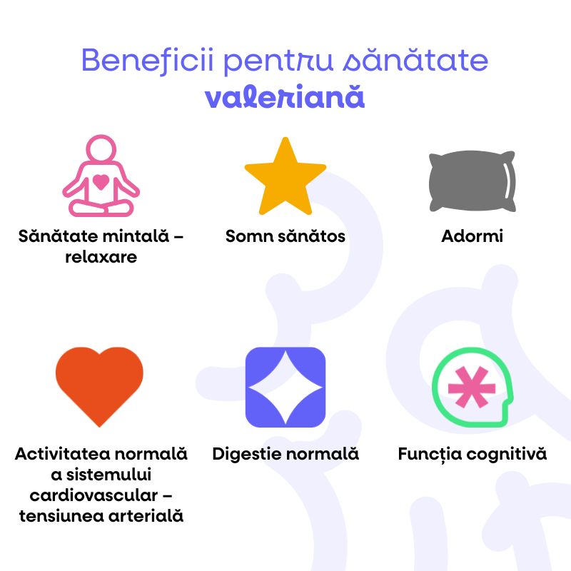 (Rumunština) (66)